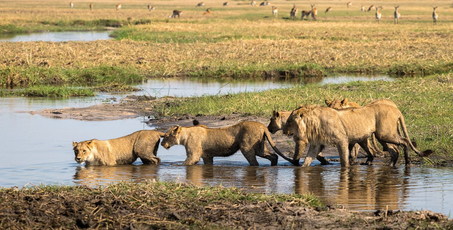 Okavango Delta, Botswana