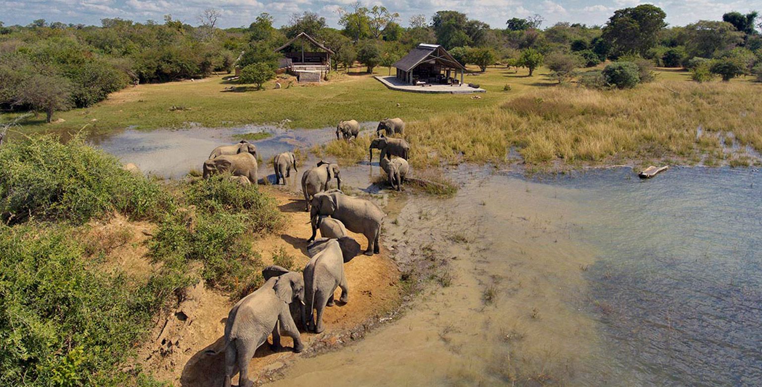 Kafue National Park, Zambia