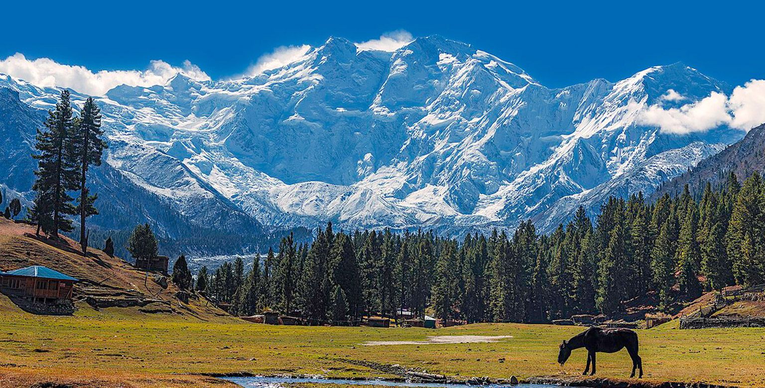 Nanga Parbat: The Killer Mountain of the Himalayas