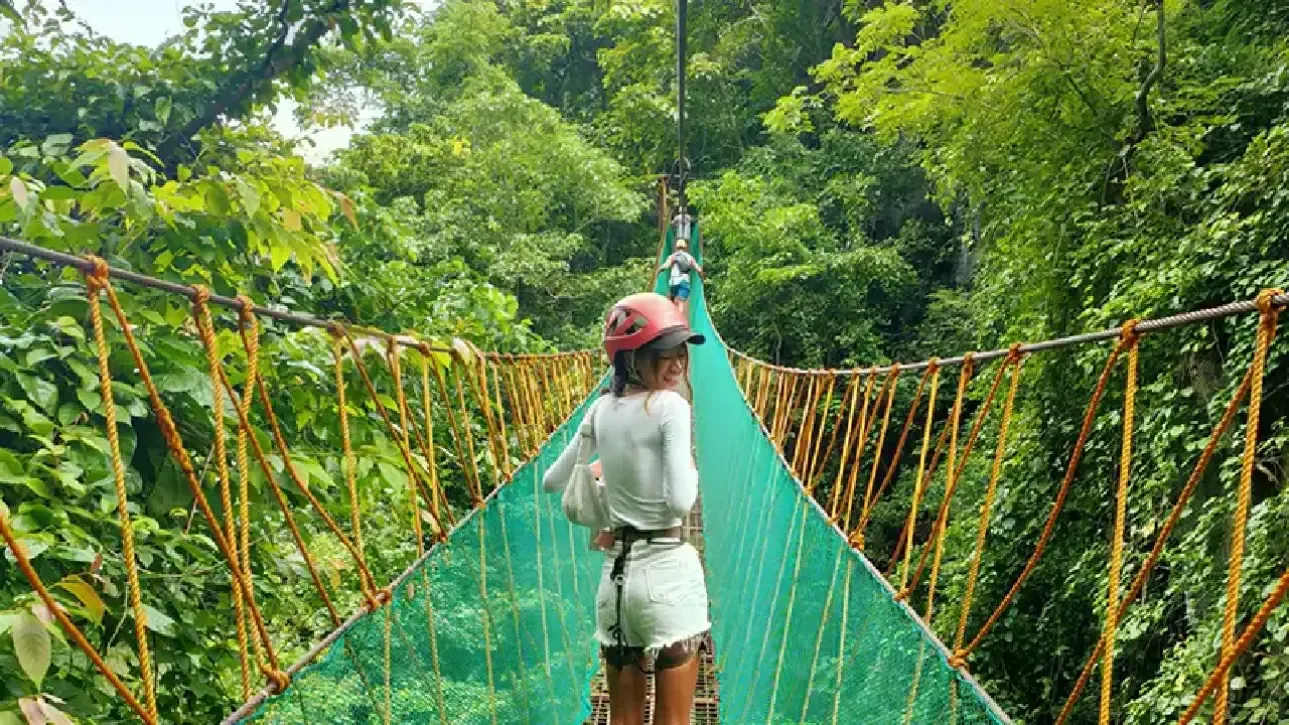 Days 12–14: Bohol – Nature and Heritage