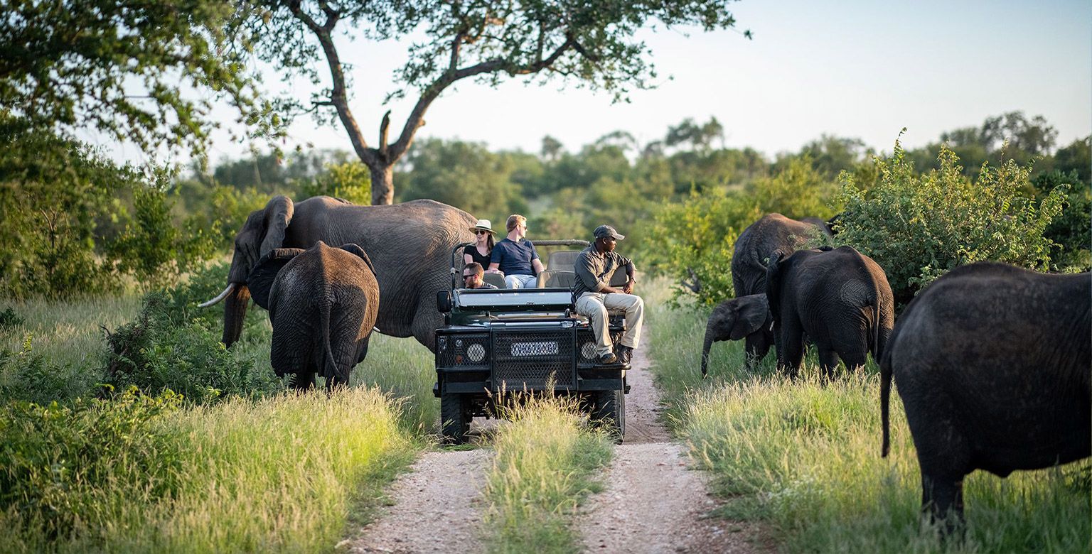 3. Kruger National Park, South Africa
