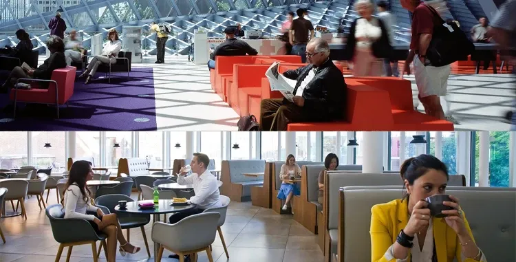 Best Library Cafés to Relax In