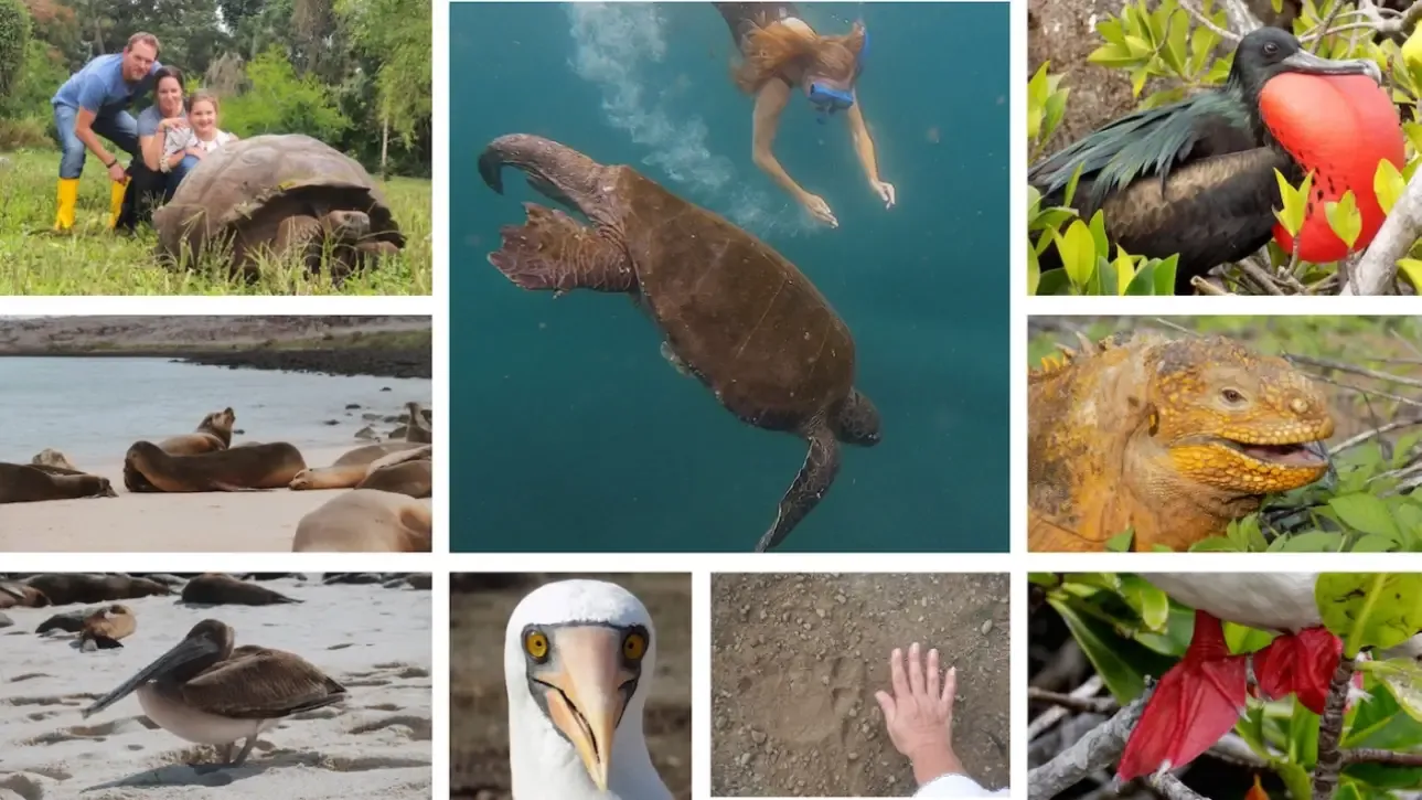 Galapagos Islands, Ecuador: A Living Laboratory