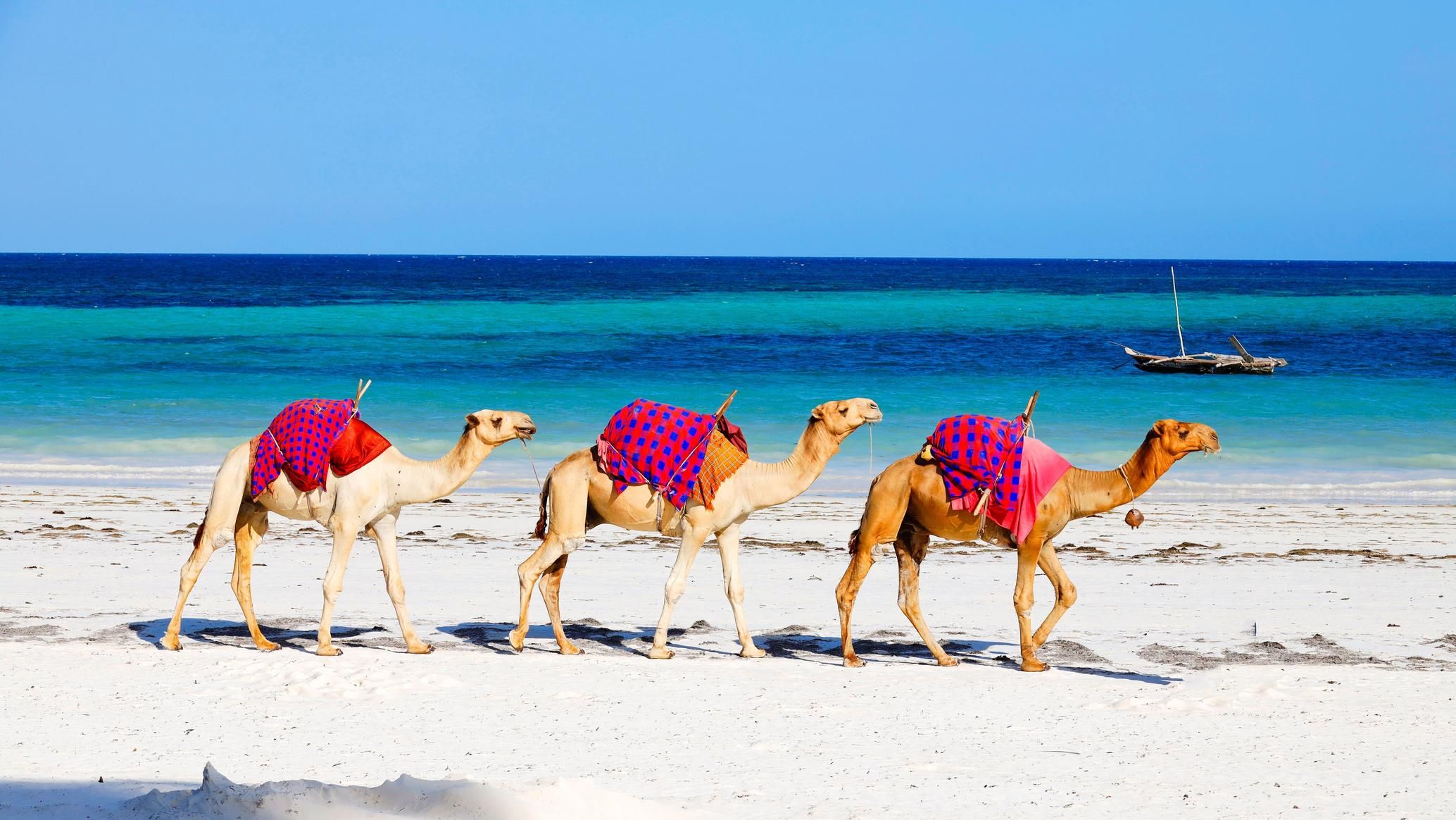 Diani Beach, Kenya