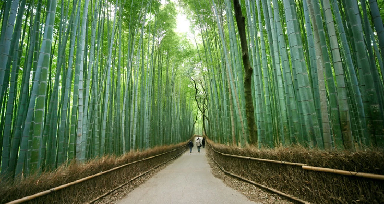 Arashiyama