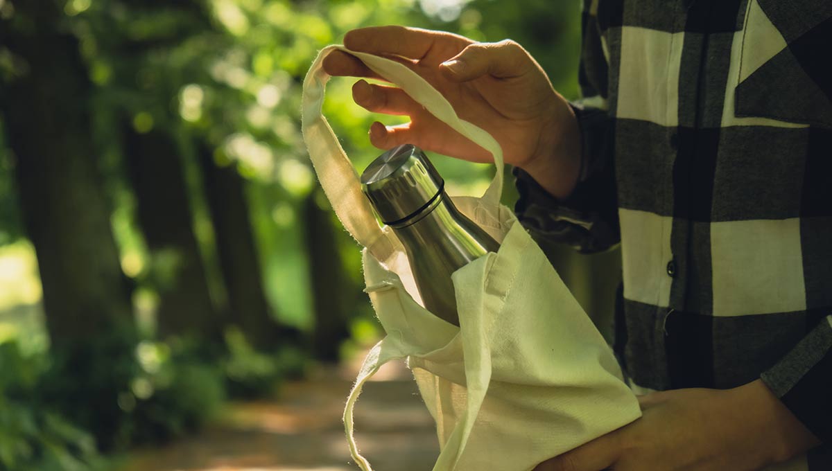 Support Sustainable Travel