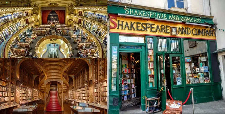 Unique Bookstores That Feel Like Libraries