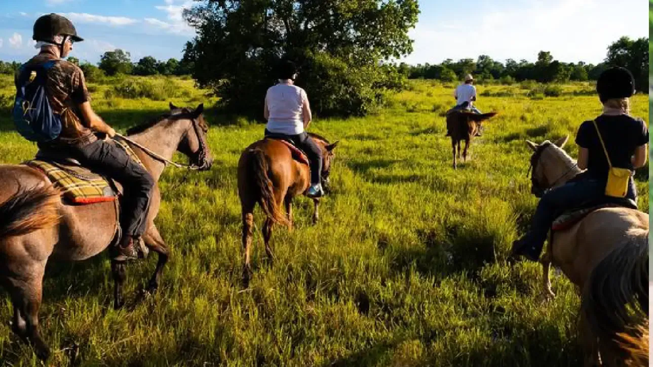 2. The Pantanal, Brazil: A Wetland Wonderland