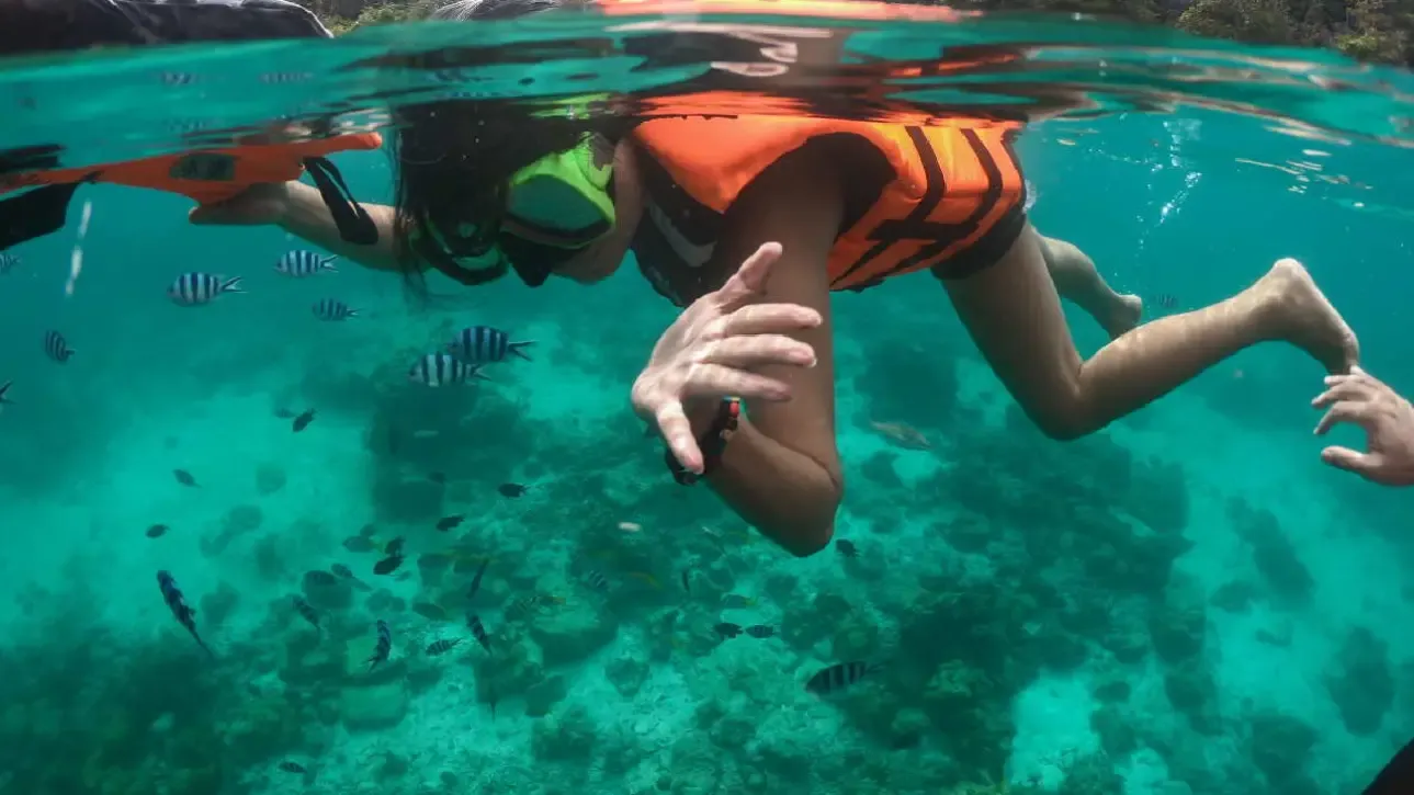 Days 6–8: Palawan (Coron) – Diving and Hidden Gems