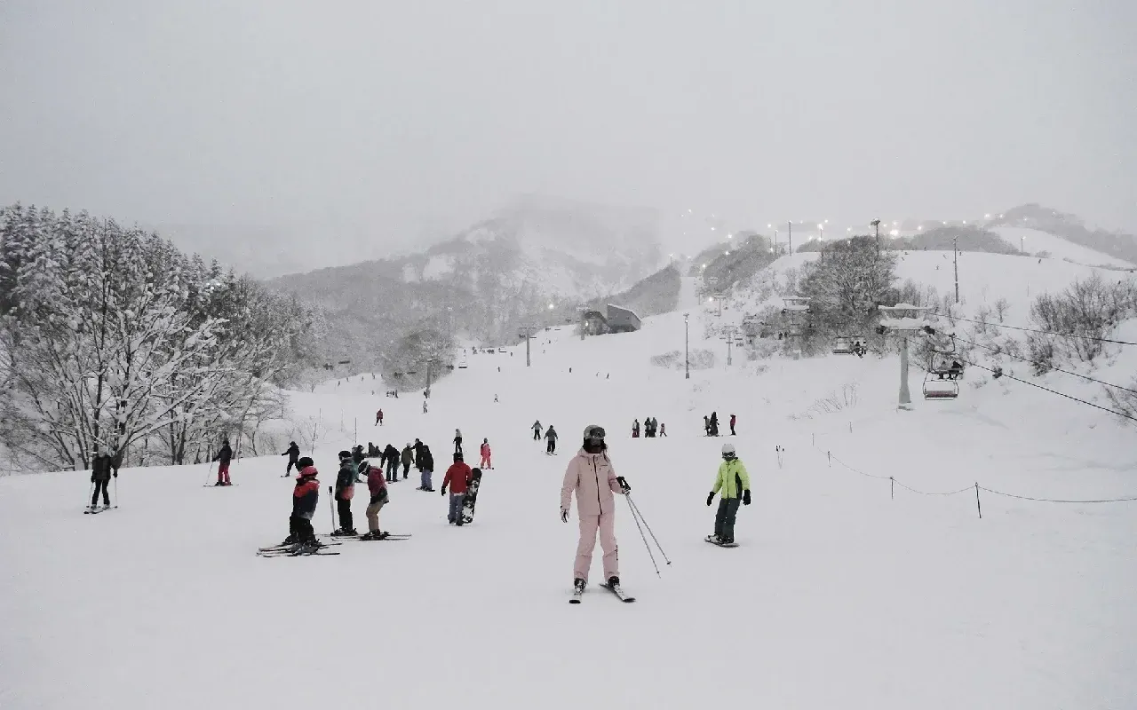 Hokkaido, Japan: Powder Paradise
