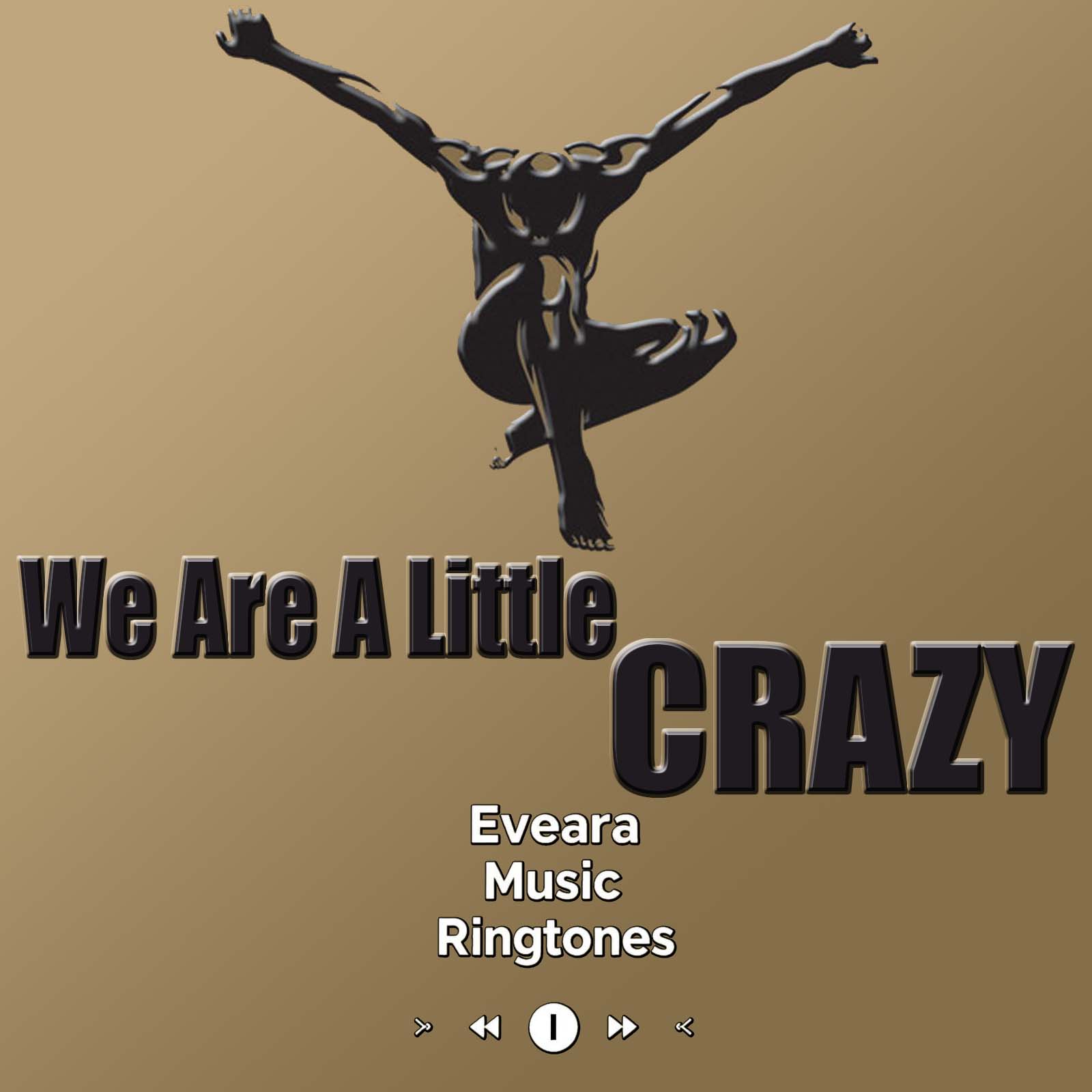 We Are A Little Crazy
