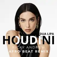 Dua Lipa - Houdini (Ricky Andrew Afro Beat Remix)