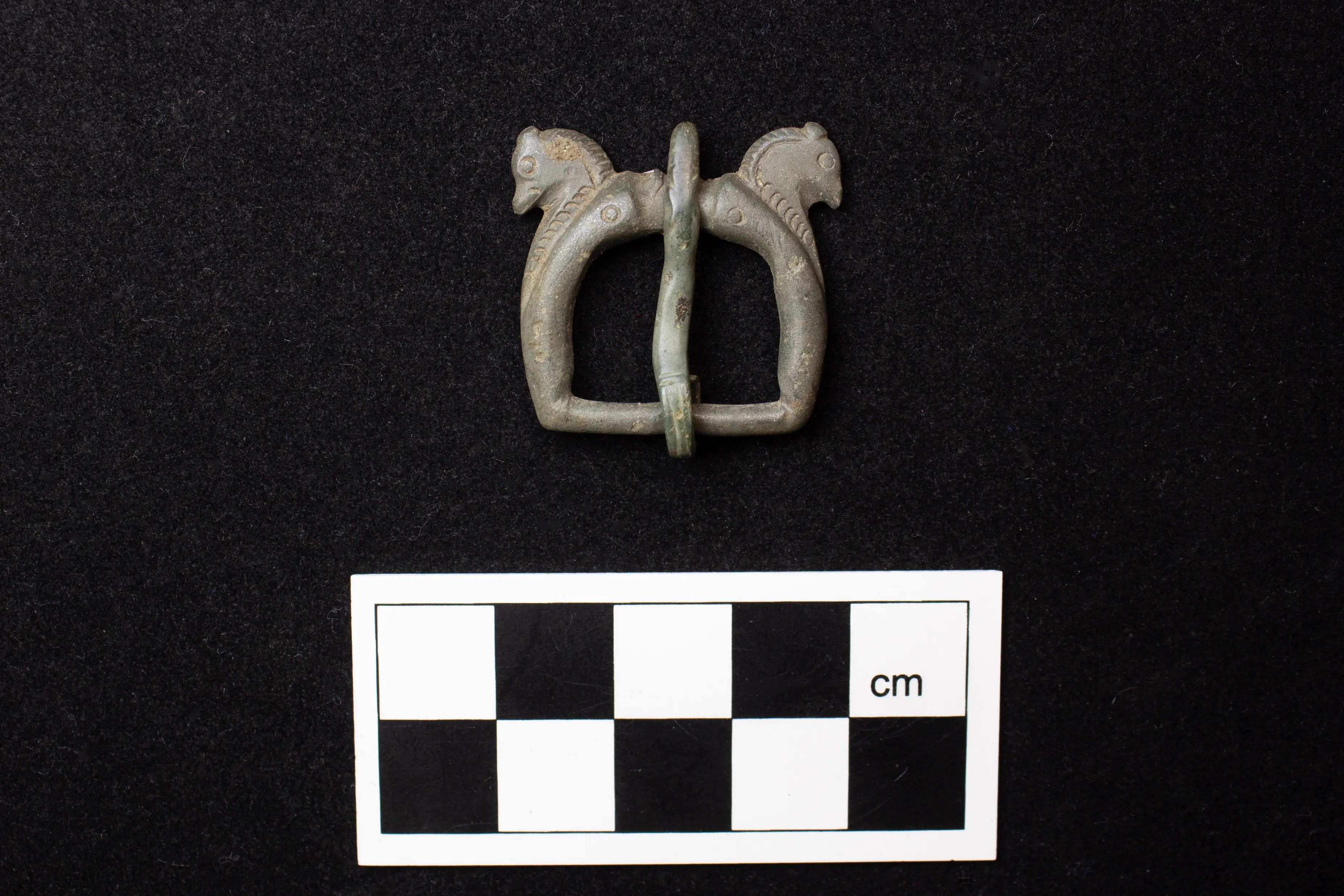 Horse-headed buckle from Brookside Meadows, Grove
