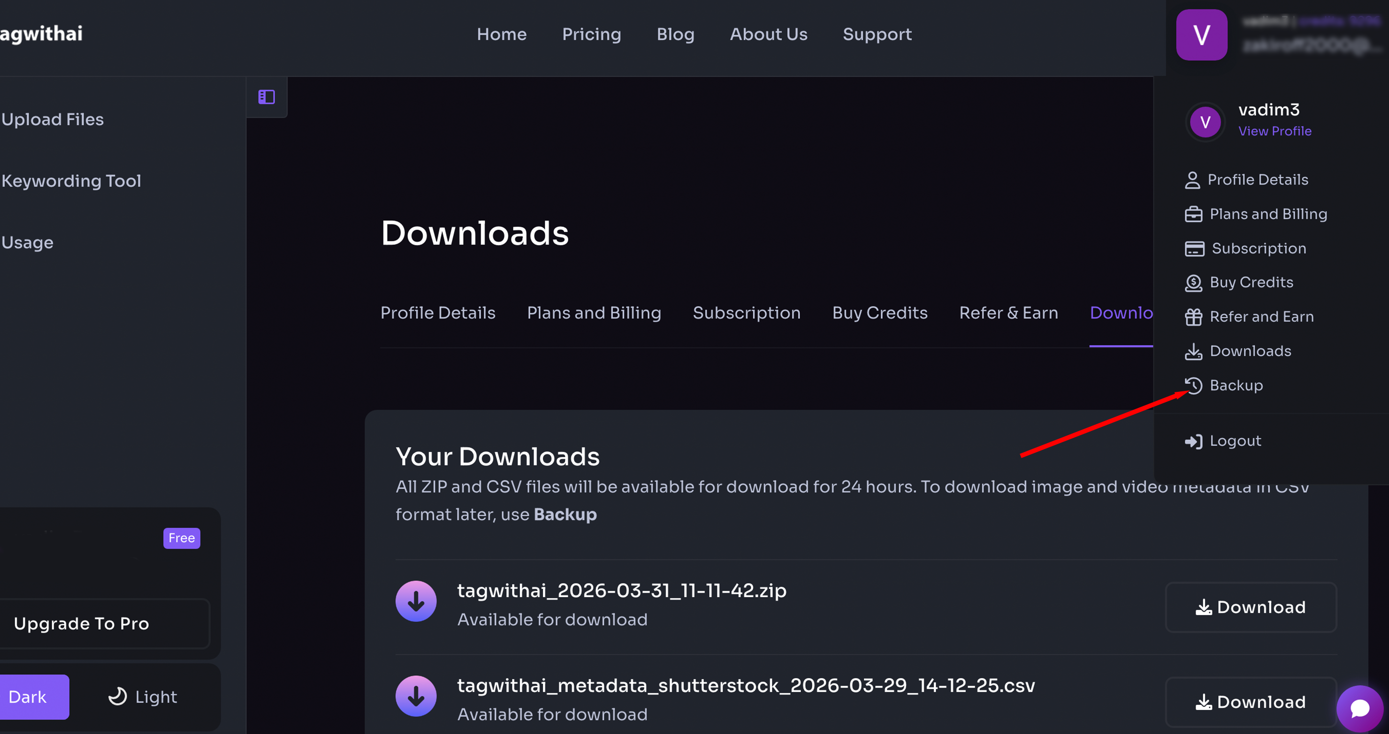 TagWithAI Downloads page showing available ZIP and CSV files for re-download