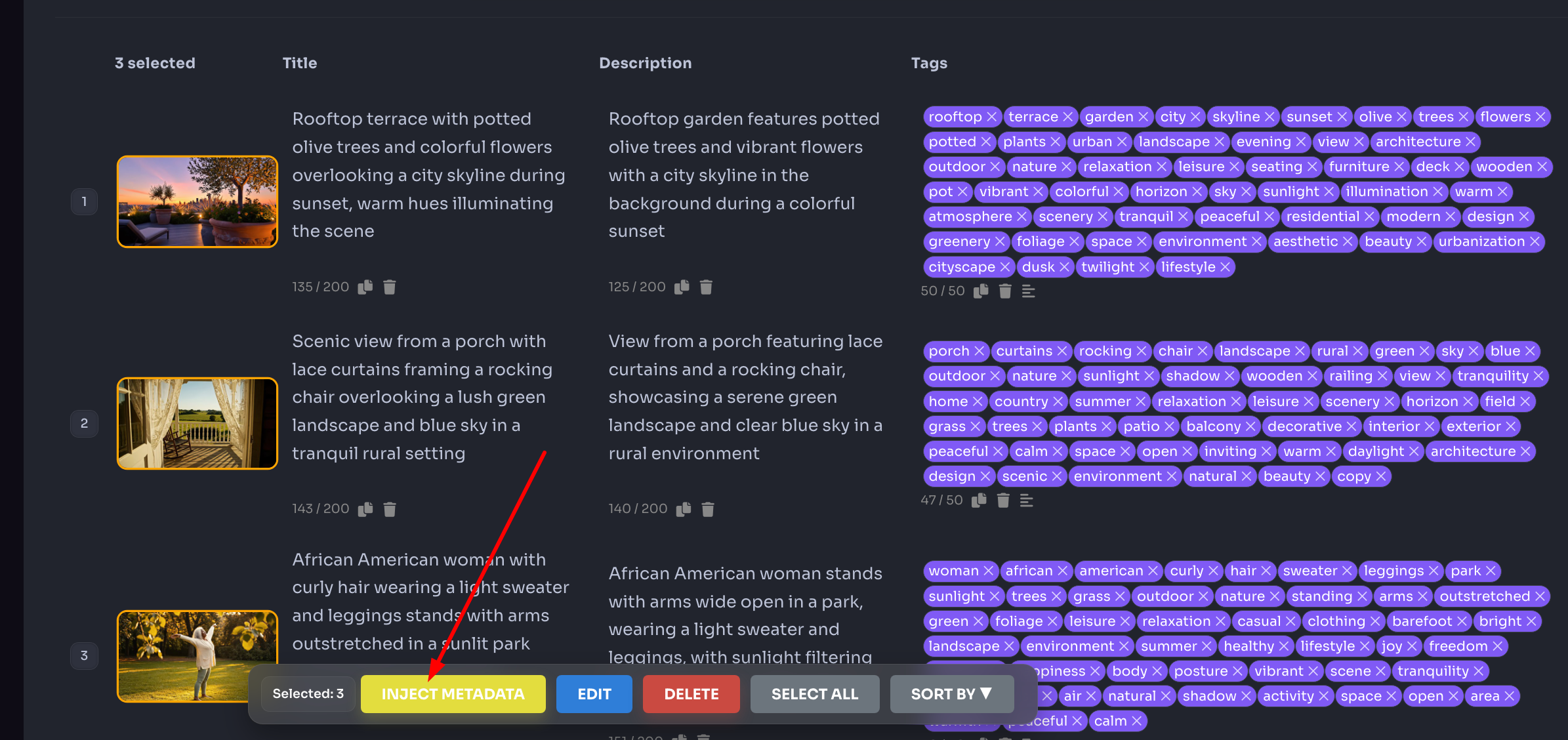 TagWithAI Keywording Tool showing described files with generated metadata and Inject Metadata button in the bottom toolbar
