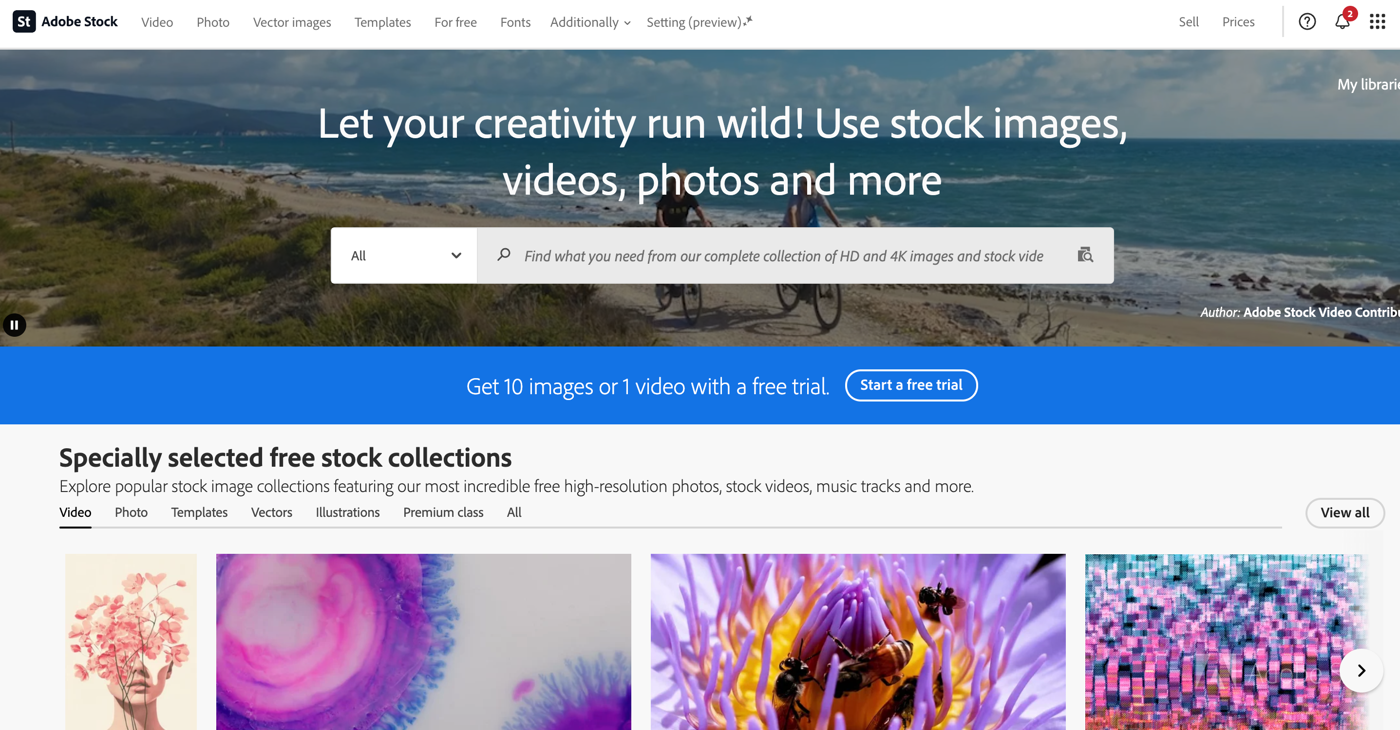 Adobe Stock homepage showcasing free and premium stock collections with search bar, ocean background, and preview of selected images