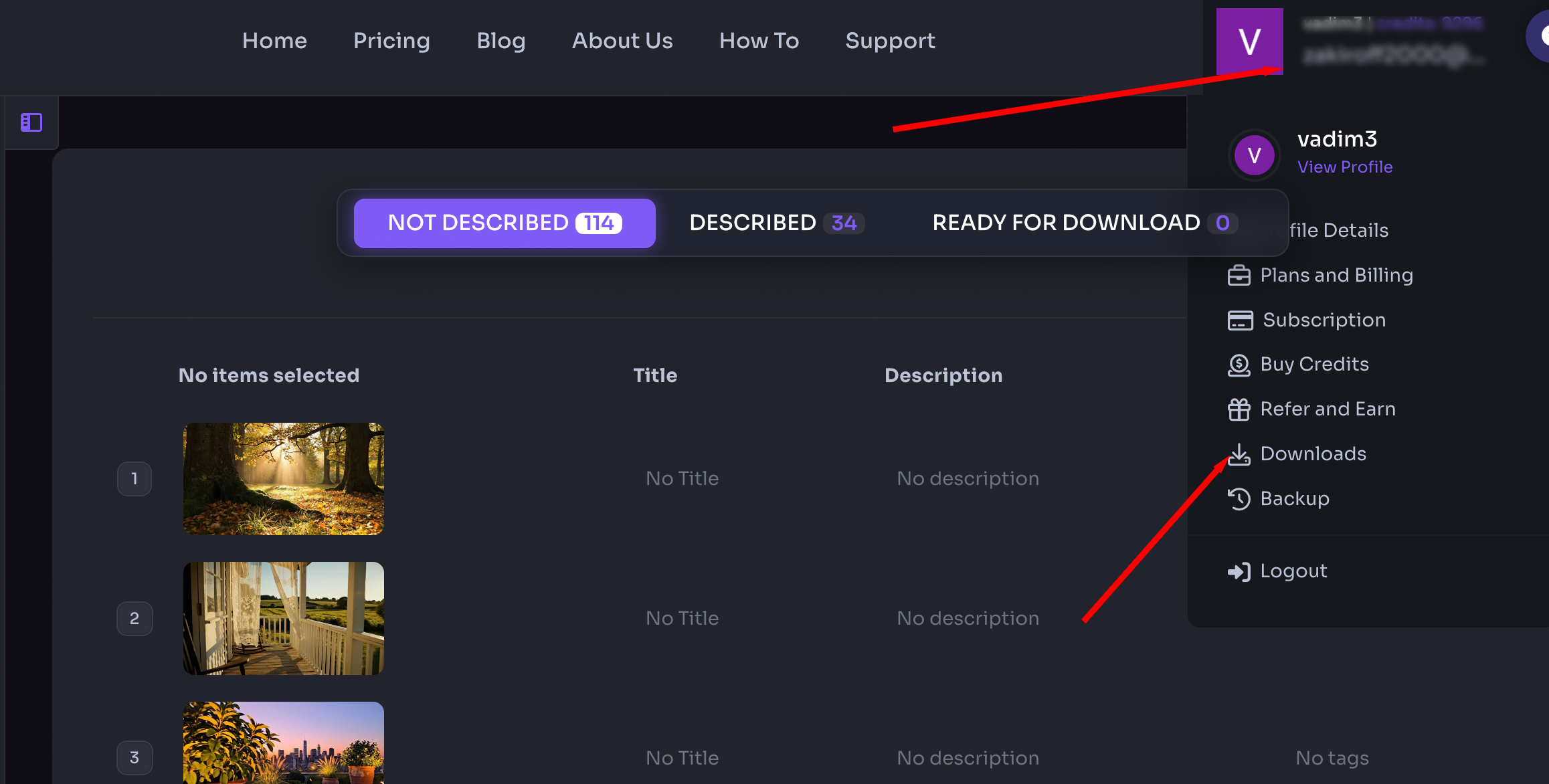 TagWithAI account menu open with Downloads option highlighted