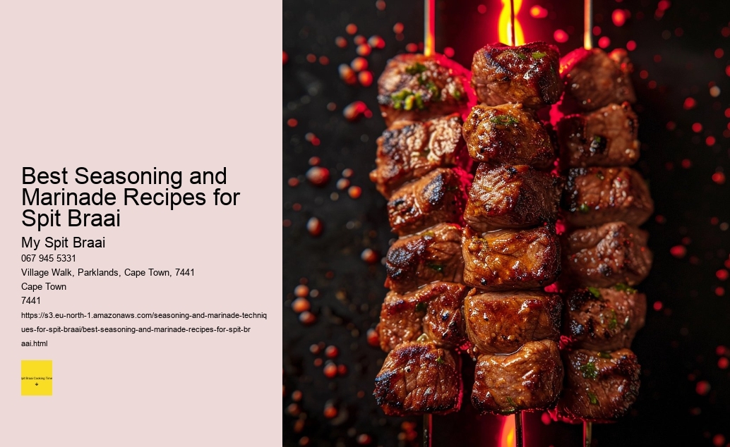 Best Seasoning and Marinade Recipes for Spit Braai