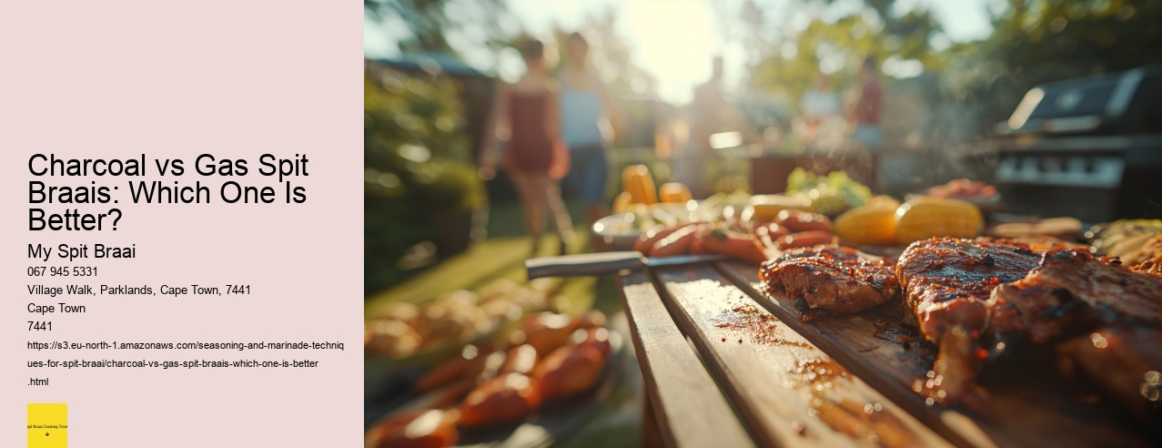 Charcoal vs Gas Spit Braais: Which One Is Better?