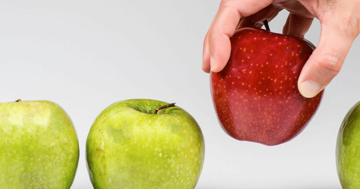 Transalis Software Your guide to choosing translation software | Semantix