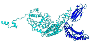Figure 6a
