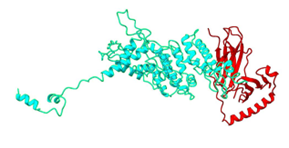Figure 6b