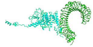 Figure 6c
