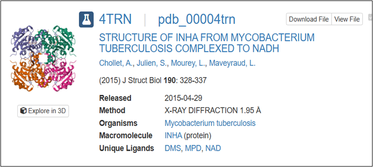 Figure 2.1.1 PDB structure of the target InhA