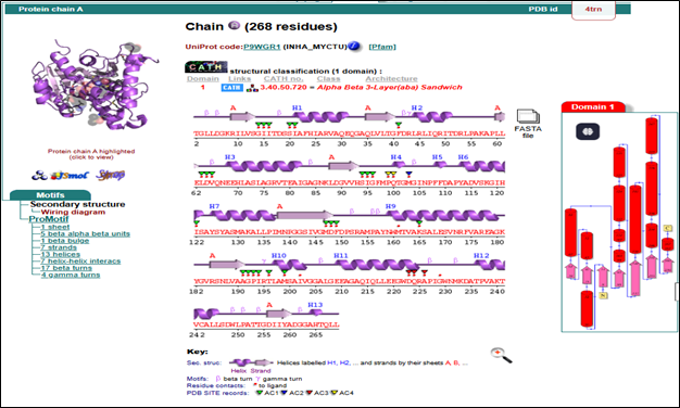Figure 2.1.2 PDB Summary for the target InhA