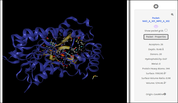Active Site