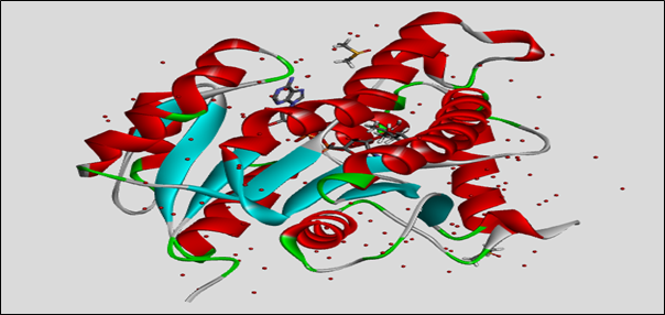 Target Structure