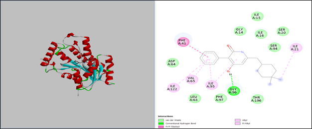 Interaction Visualization