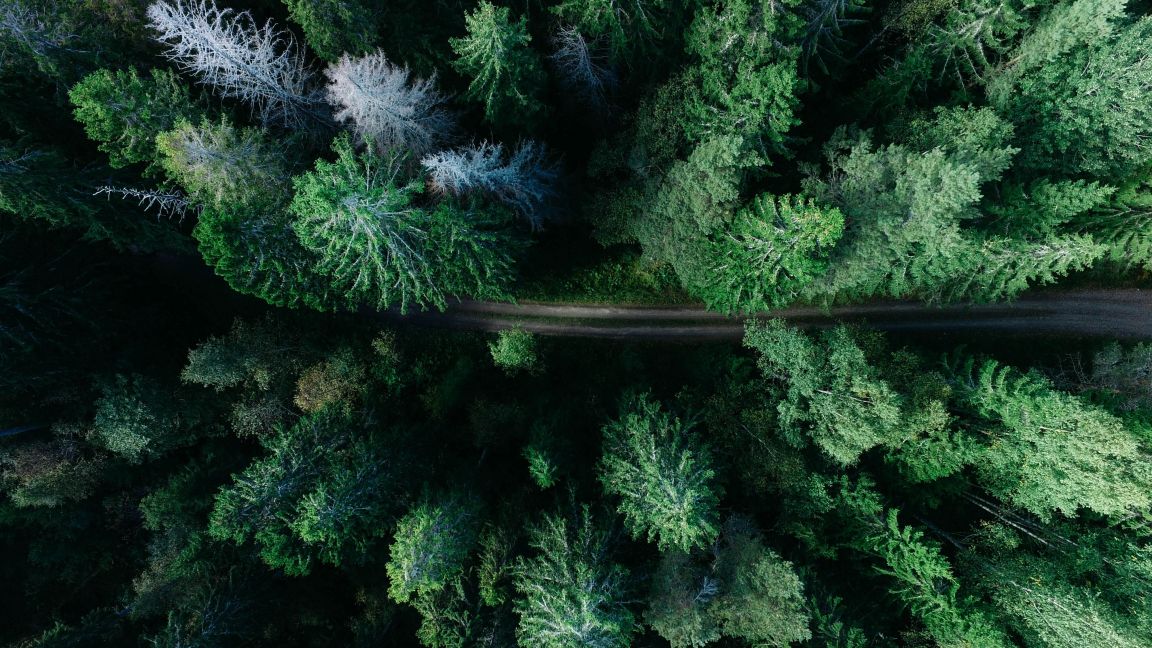 Geran de klerk W Jkc3x Zj S Xw unsplash
