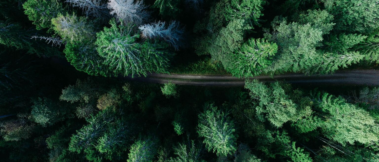 Geran de klerk W Jkc3x Zj S Xw unsplash