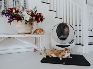 Maalaisromanttinen koti.