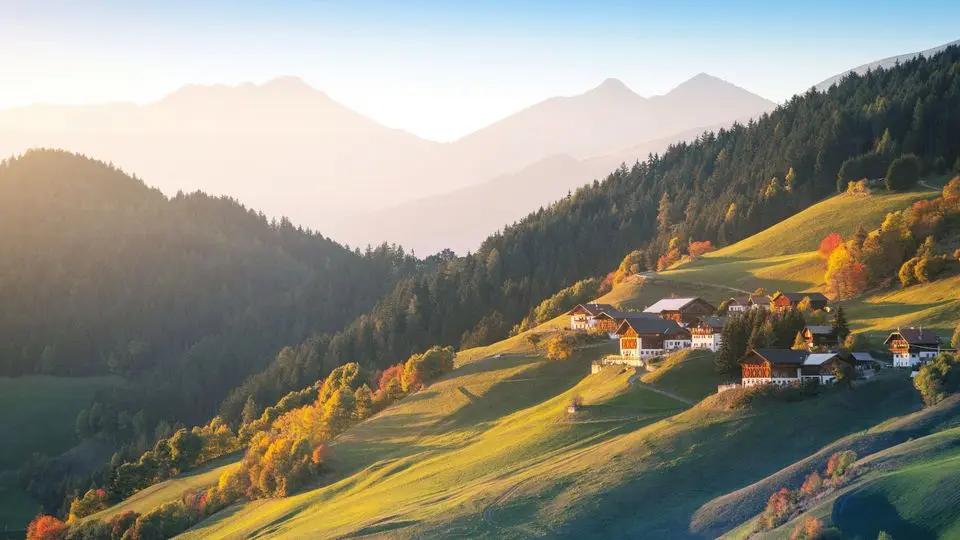 Belonging - Connection and community