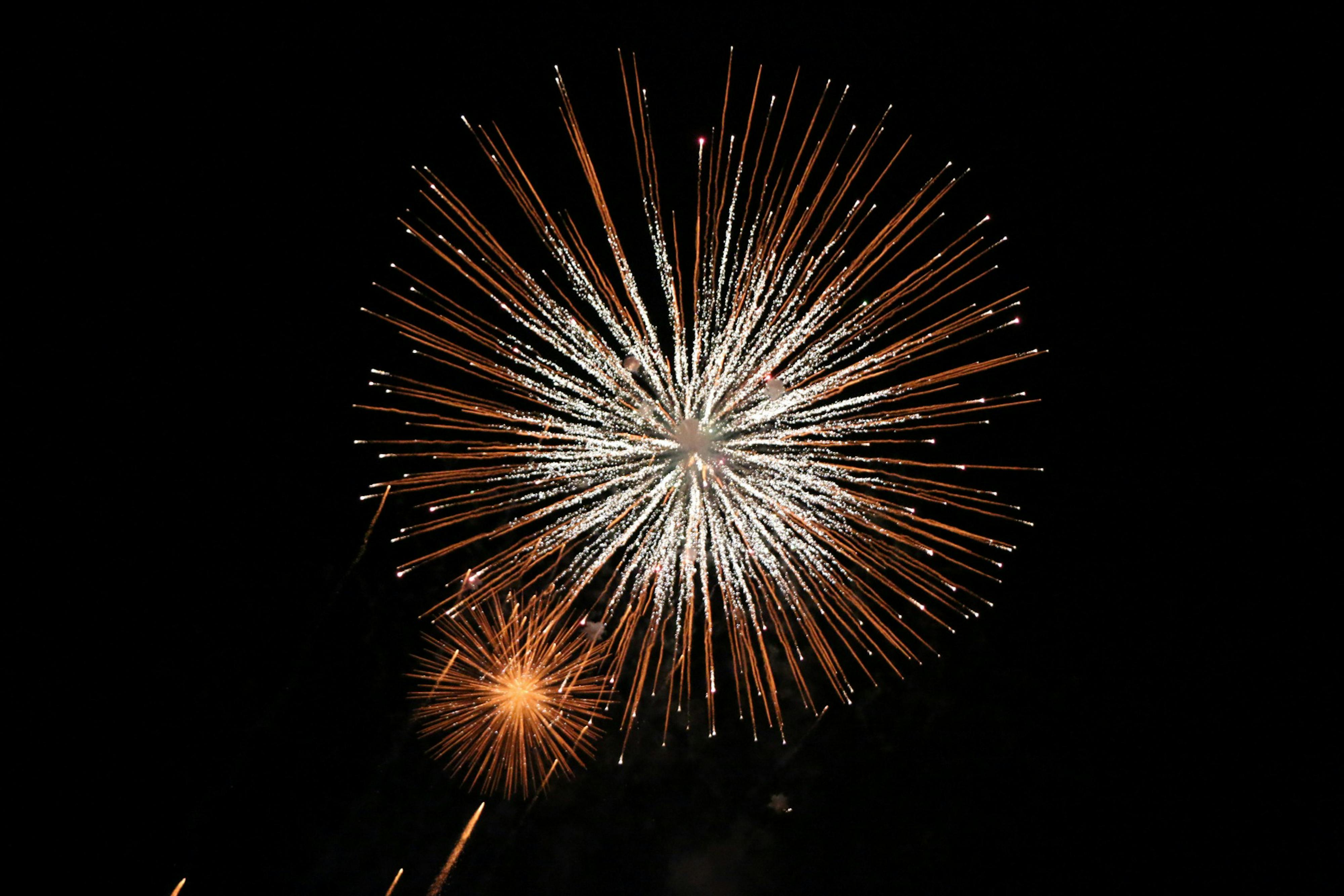 Vital Line - Sparking energy