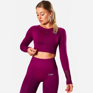 ICIW Dynamic Seamless Long Sleeve Crop Top, Mulberry