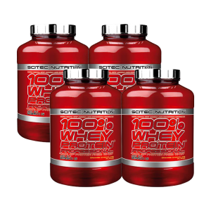 4 x 100% Whey Protein Professional, 2350 g, BIG BUY