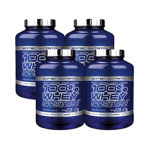 4 x 100% Whey Protein, 2350 g, BIG BUY