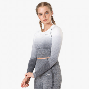 Ombre Seamless L/S Crop Top, Grey