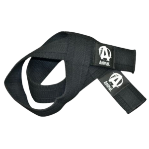 Universal Lifting Straps, One Size