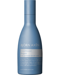 Repair Conditioner, 75ml