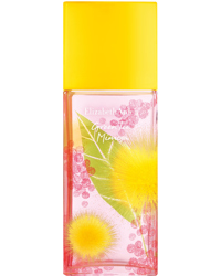 Green Tea Mimosa, EdT 50ml