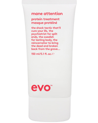 Mane Attention Protein Treatment, 150ml