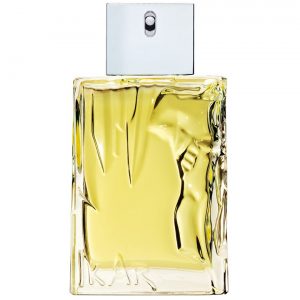 Eau D'ikar EdT, 100 ml Sisley Miesten hajuvedet