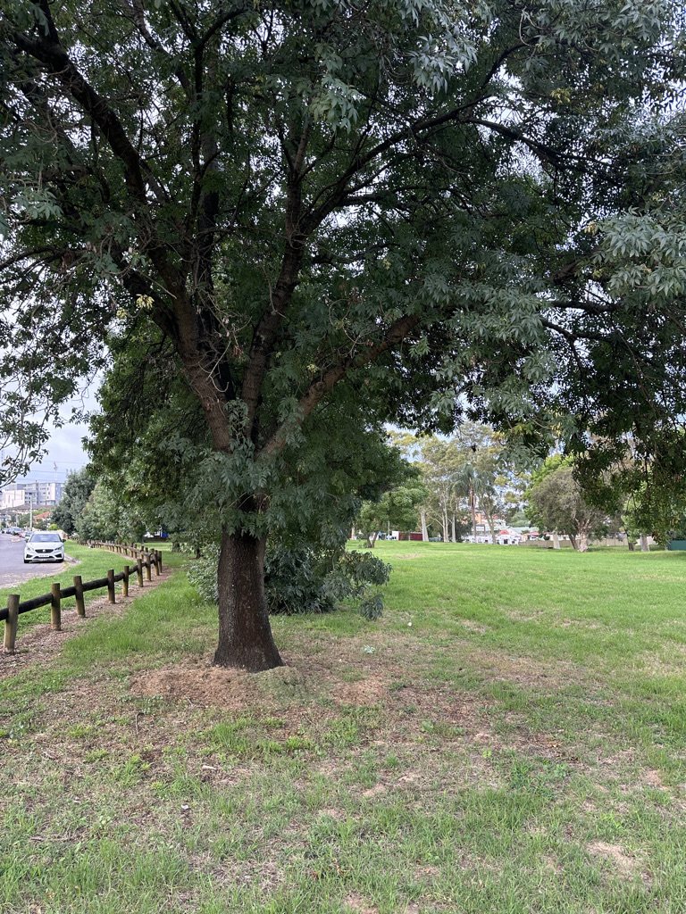 Discovery Park