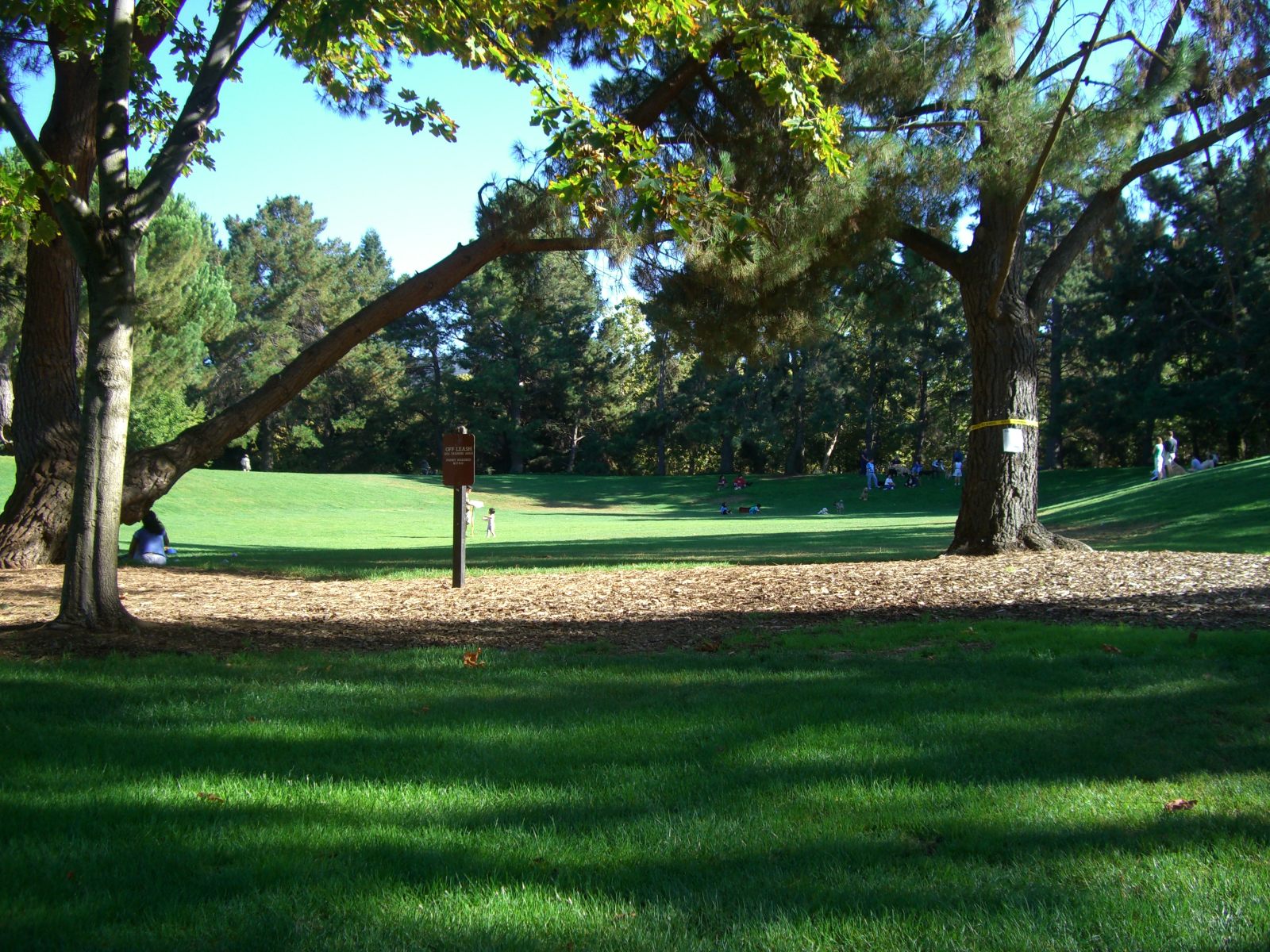 Cuesta Park