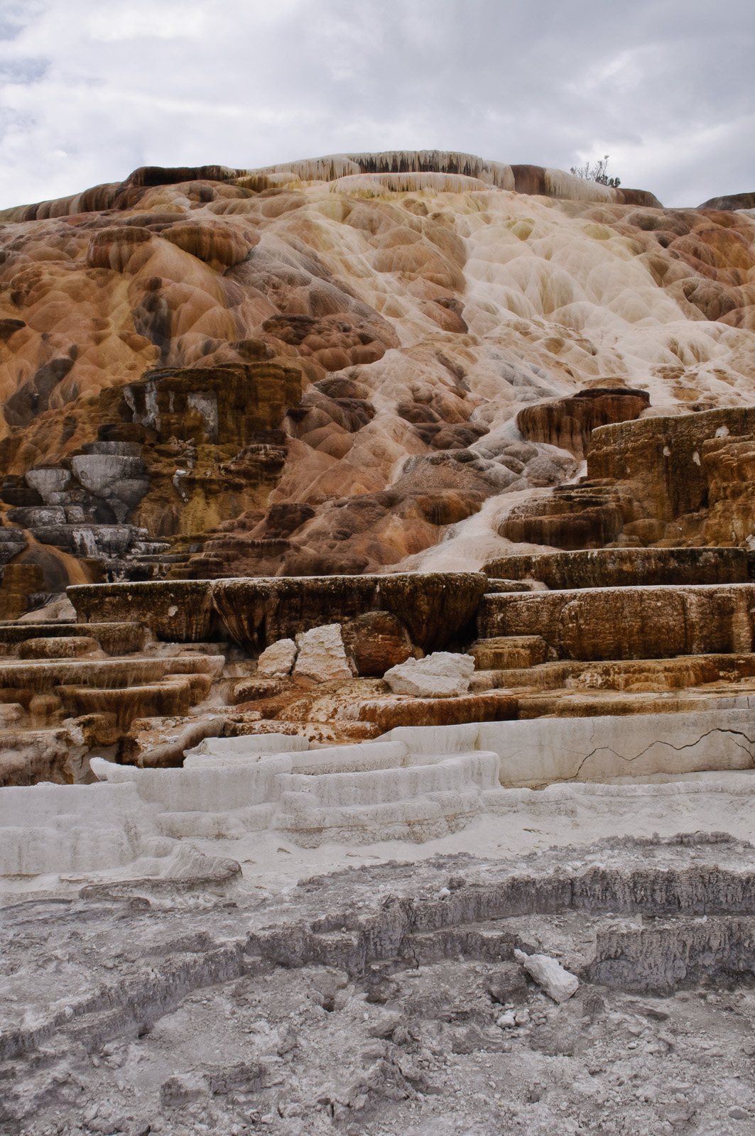 Mammoth Spring State Park