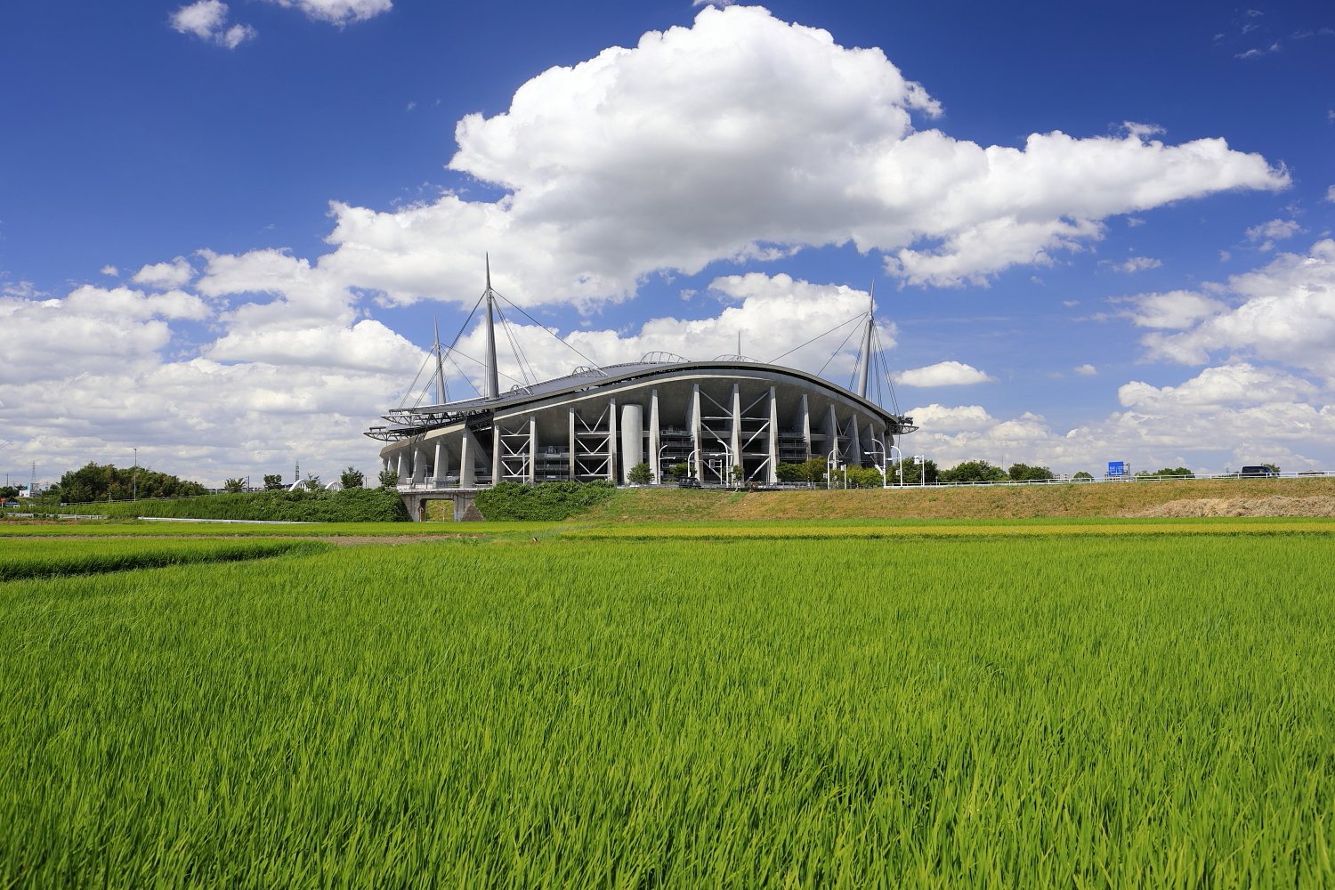Toyota Stadium